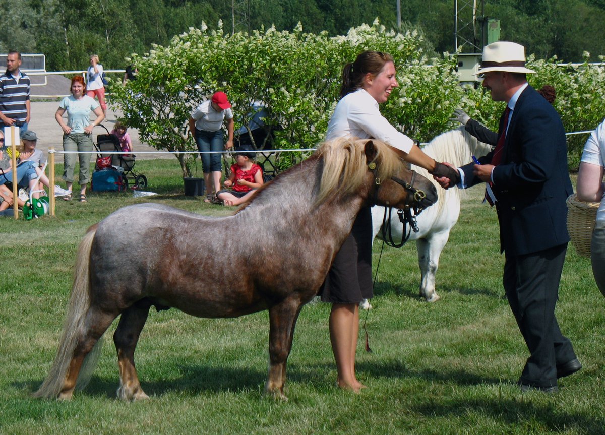 Poney